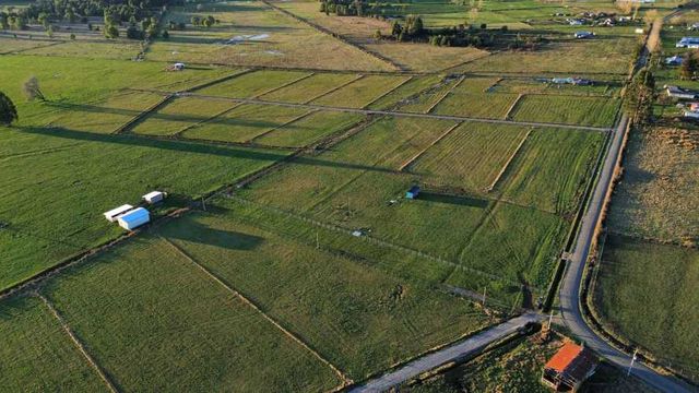 Parcelas a 15 minutos del centro de Frutillar (126764)