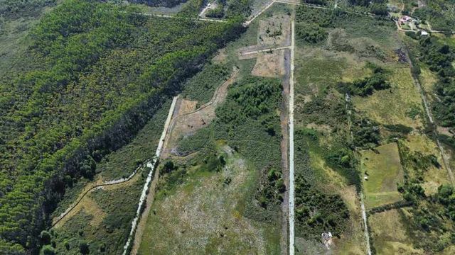 Parcelas planas a minutos del centro de Ancud (126745)