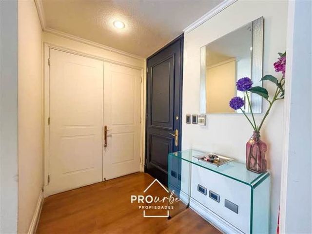 DEPARTAMENTO Presidente Riesco/Luz