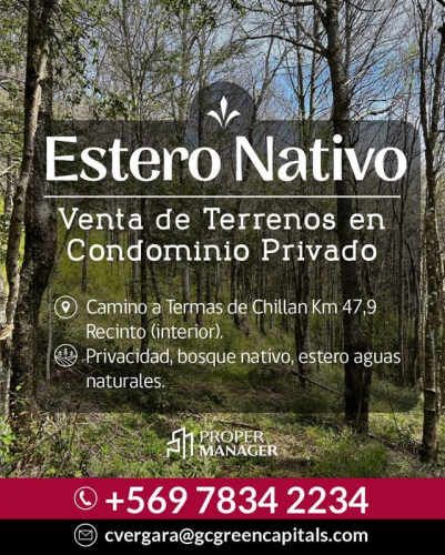SITIO Camino Termas de Chillán Km 47,9 – Recinto, Santa Jovita Interior, Pinto, Región de Ñuble