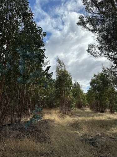 PARCELA Sitios en Las Lajuelas, Huampuli San Nicolas