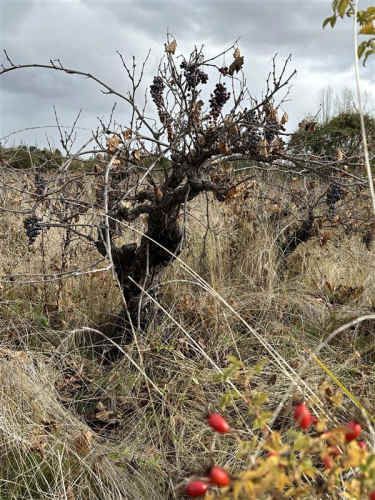 PARCELA Sitios en Las Lajuelas, Huampuli San Nicolas