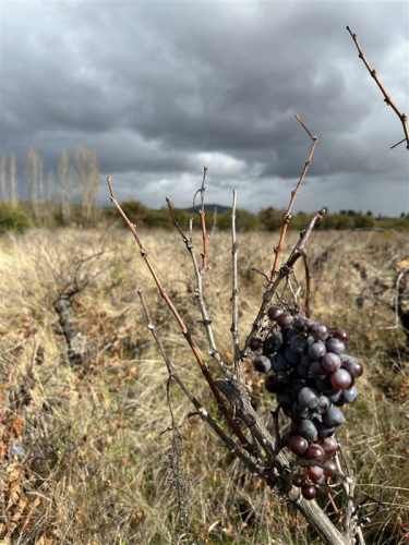 PARCELA Sitios en Las Lajuelas, Huampuli San Nicolas