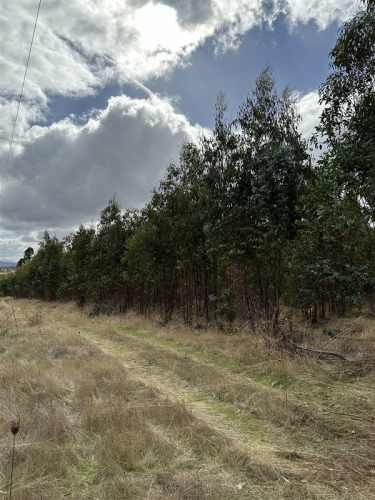 PARCELA Sitios en Las Lajuelas, Huampuli San Nicolas