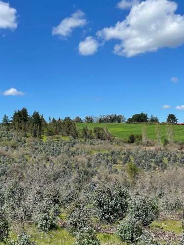 PARCELA Sitios en Las Lajuelas, Huampuli San Nicolas
