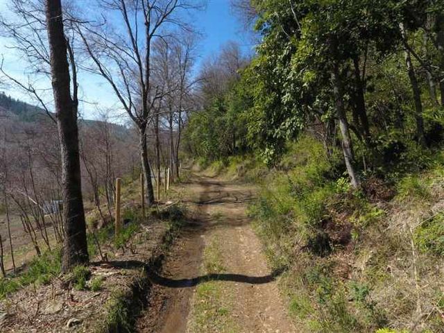 PARCELA Sitios Camino Termas de Chillan Km 48 Interior