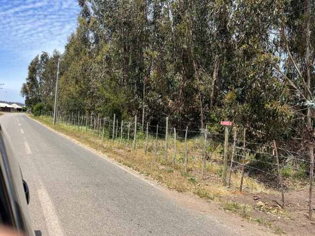 PARCELAS EN EL CONVENTO, SANTO DOMINGO V REGION