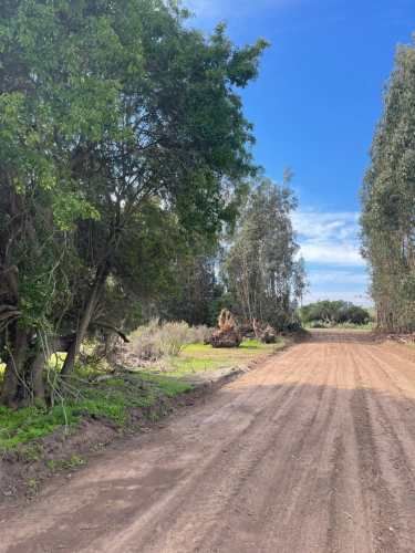 PARCELAS EN EL CONVENTO, SANTO DOMINGO V REGION