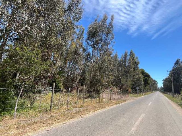 PARCELAS EN EL CONVENTO, SANTO DOMINGO V REGION