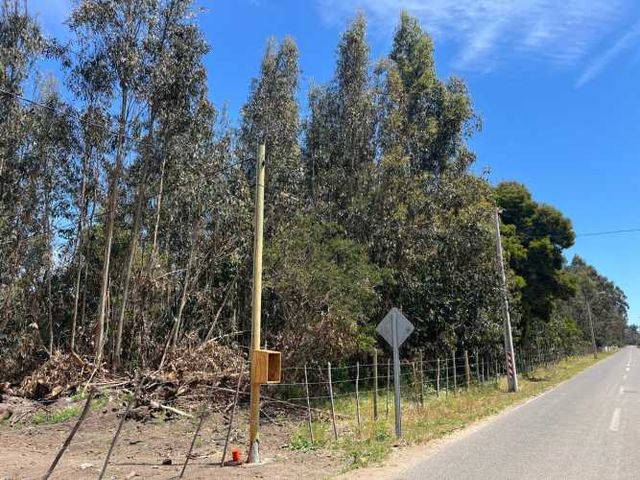 PARCELAS EN EL CONVENTO, SANTO DOMINGO V REGION