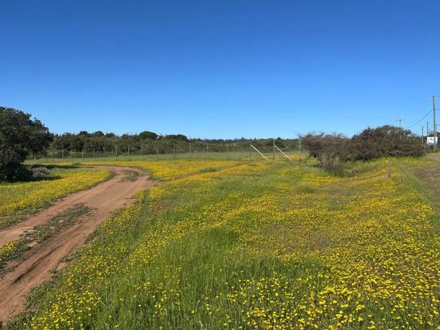 PARCELA EN EL CONVENTO, SANTO DOMINGO V REGION
