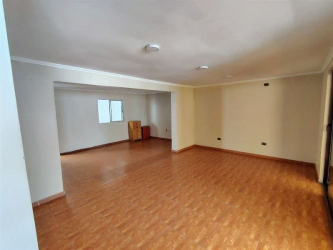 LOCAL COMERCIAL Sepulveda Leyton con Exposicion