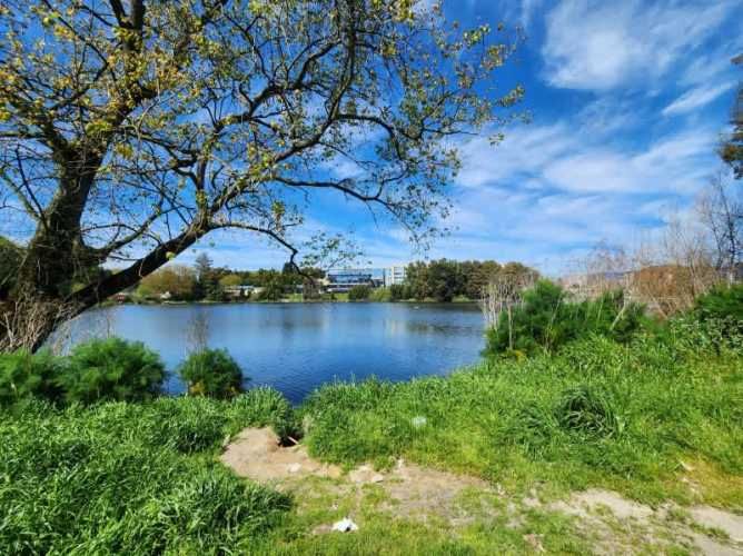 Departamento EDIFICIO VISTA LAGUNA CONCEPCION
