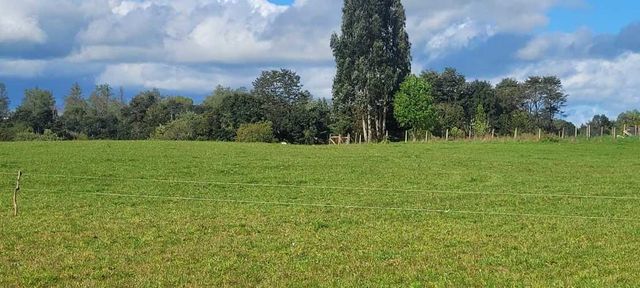 PARCELA 5000M2 ROL PROPIO RESOLUCIÓN SAG