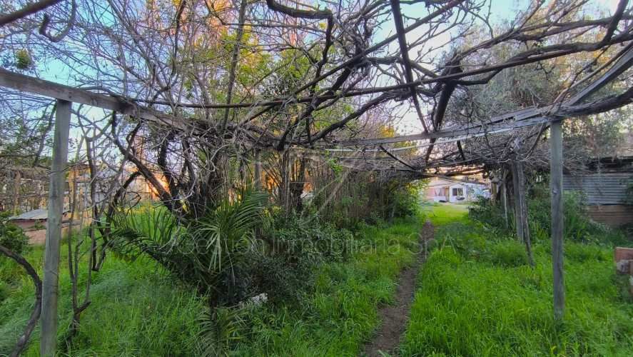 Oportunidad terreno sector Belloto norte Quilpué