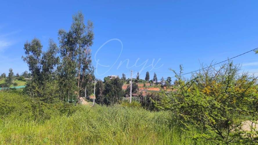 Terreno Cajon de Lebu Villa Alemana