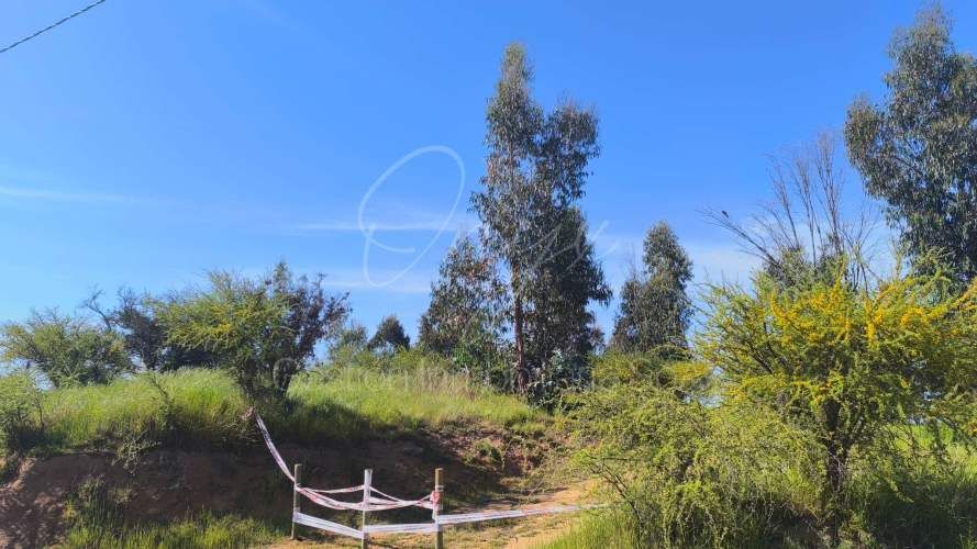 Terreno Cajon de Lebu Villa Alemana