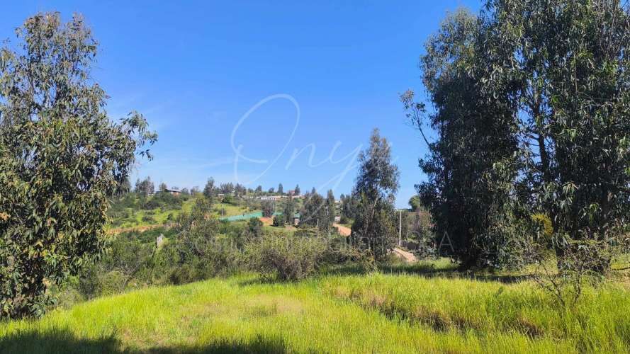 Terreno Cajon de Lebu Villa Alemana