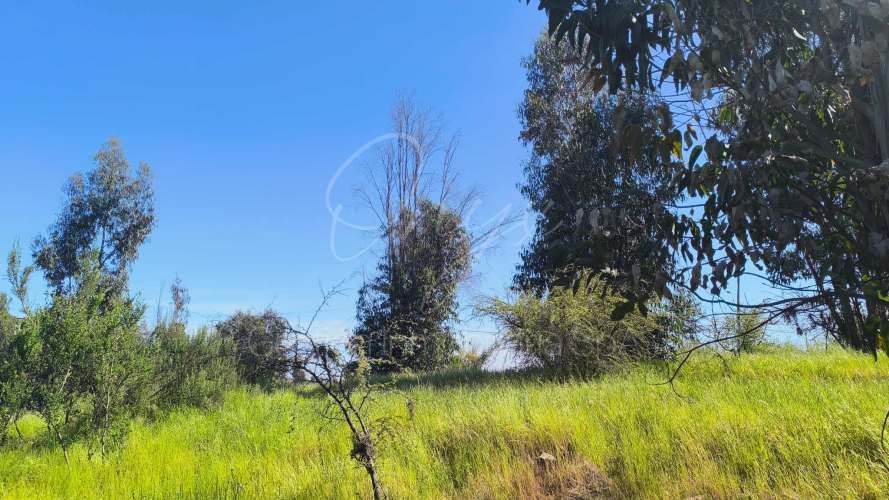 Terreno Cajon de Lebu Villa Alemana