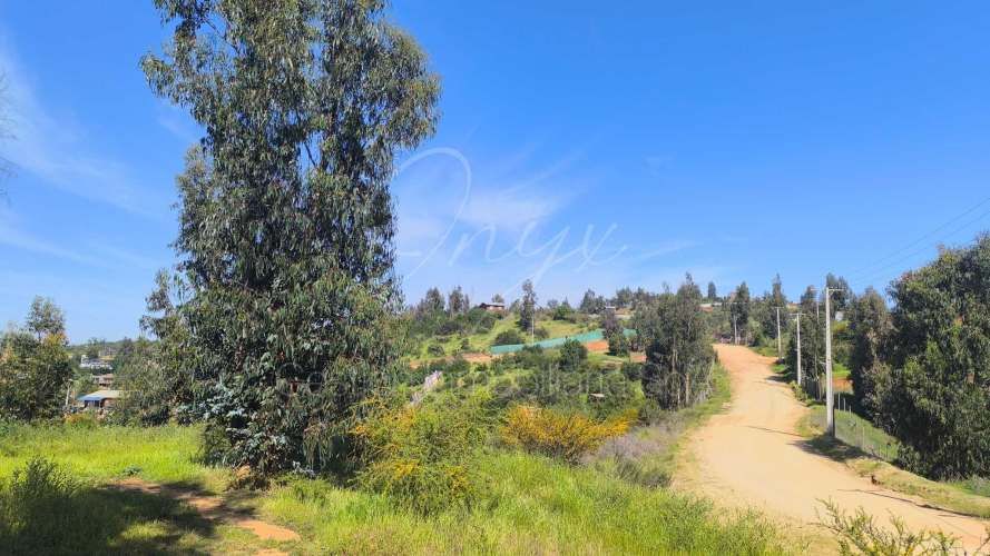 Terreno Cajon de Lebu Villa Alemana