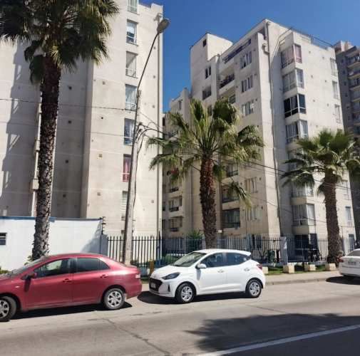 Departamento 3 dormitorios terminal agropecuario