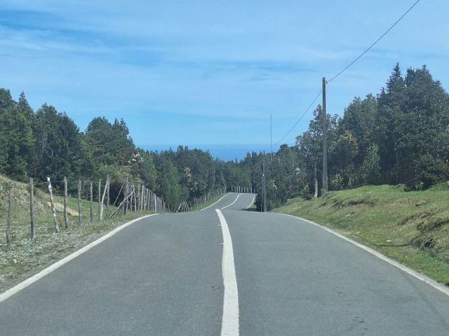 ESPECTACULAR PARCELA CON VISTA AL MAR Y BOSQUE NATIVO | BONIFACIO
