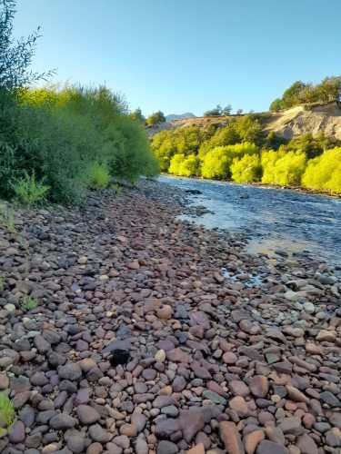 Parcela en la Patagonia