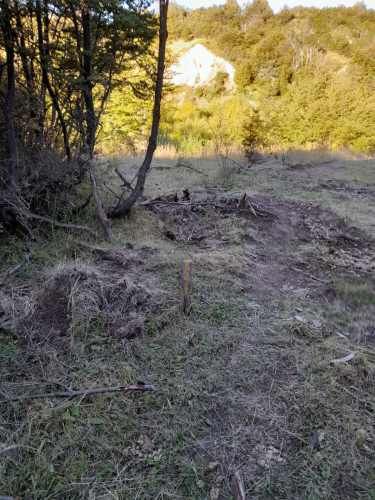 Parcela en la Patagonia