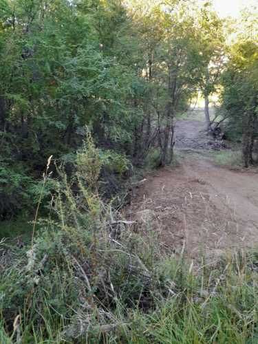 Parcela en la Patagonia