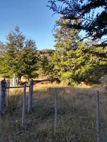 Parcela en la Patagonia