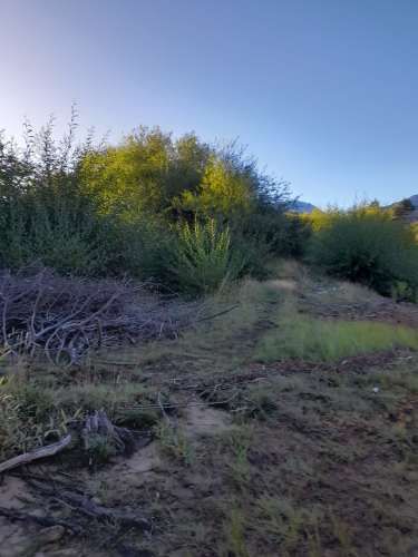Parcela en la Patagonia