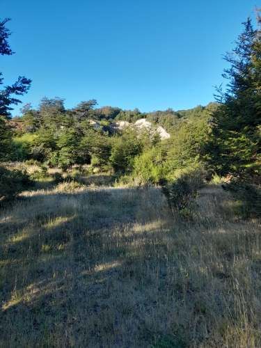 Parcela en la Patagonia