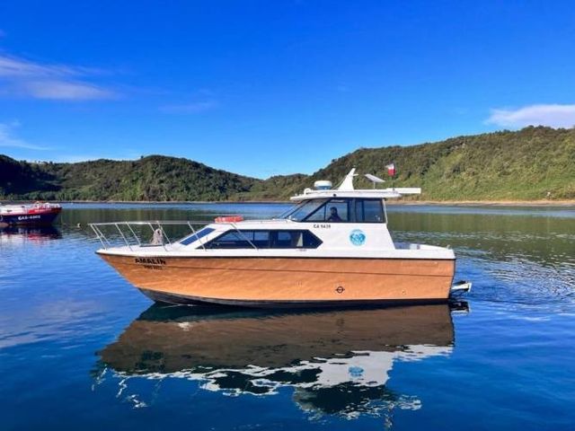 Vendo Embarcación Menor