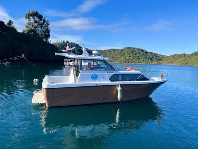 Vendo Embarcación Menor