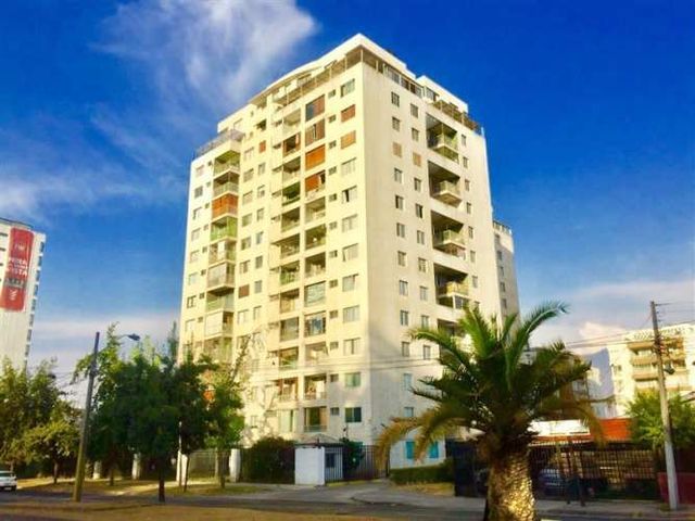 DEPARTAMENTO Punta Arenas