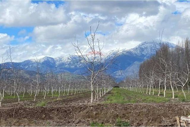 Venta de parcelas de 5000 m en san isidro de paine