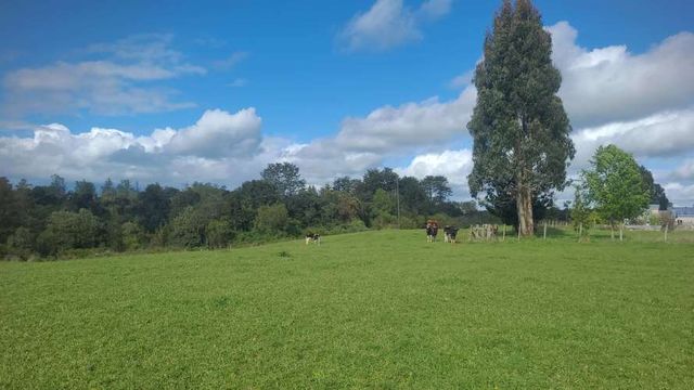 PARCELAS 5000M2 OPORTUNIDAD INVERSION!!!