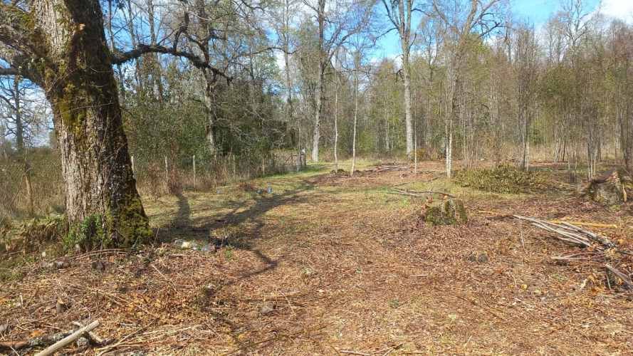 VENTA PARCELA 5000MTS FRUTILLAR