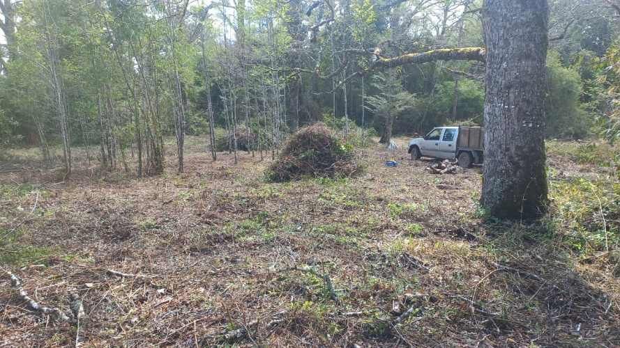 VENTA PARCELA 5000MTS FRUTILLAR