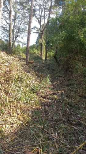 VENTA PARCELA 5000MTS FRUTILLAR