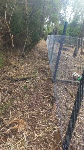 VENTA PARCELA 5000MTS FRUTILLAR