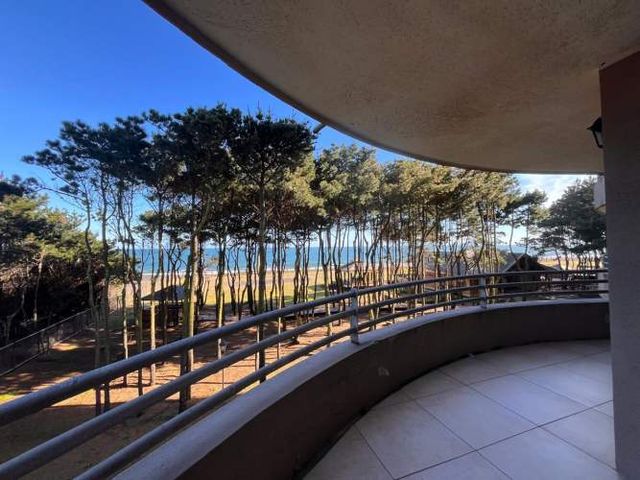 Departamento Venta Gran Departamento Bosque Mar Terraza