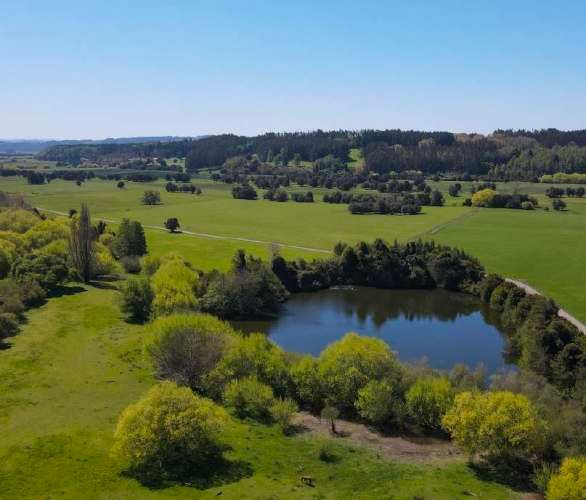 Raices del Rio Rahue