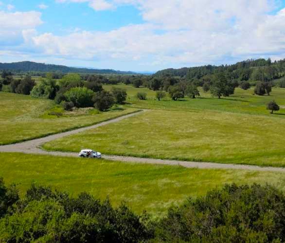 Raices del Rio Rahue
