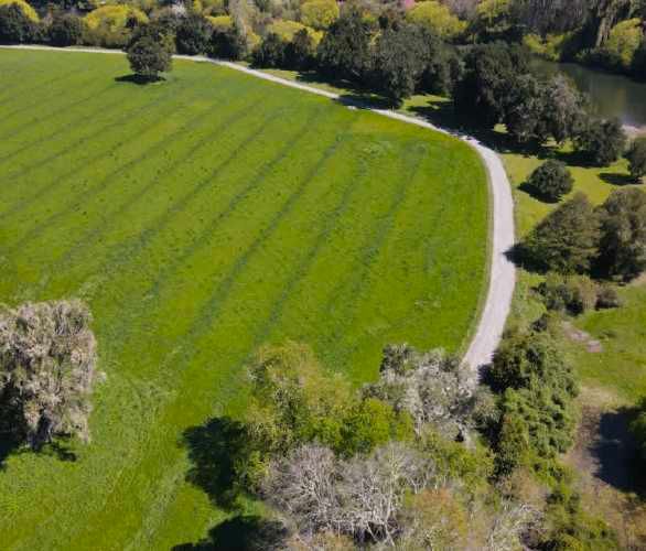 Raices del Rio Rahue