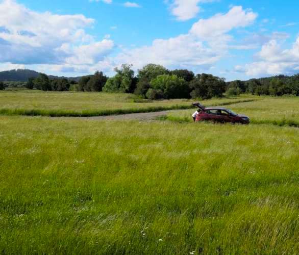 Raices del Rio Rahue