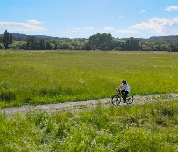 Raices del Rio Rahue