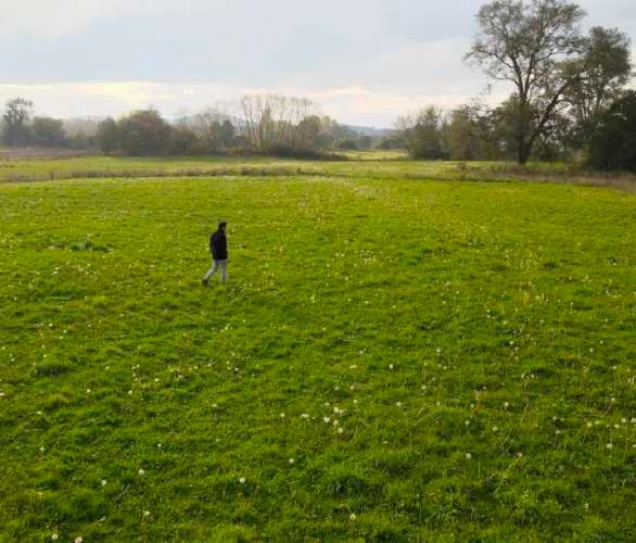 Raices del Rio Rahue