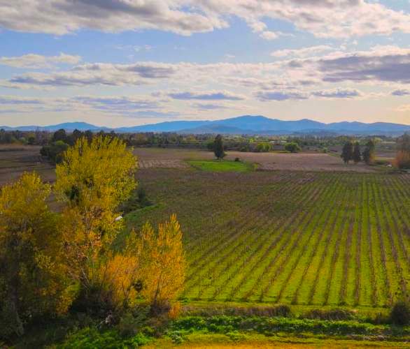 Raices de Villa Alegre