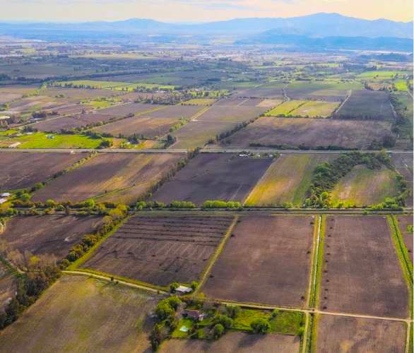 Raices de Villa Alegre